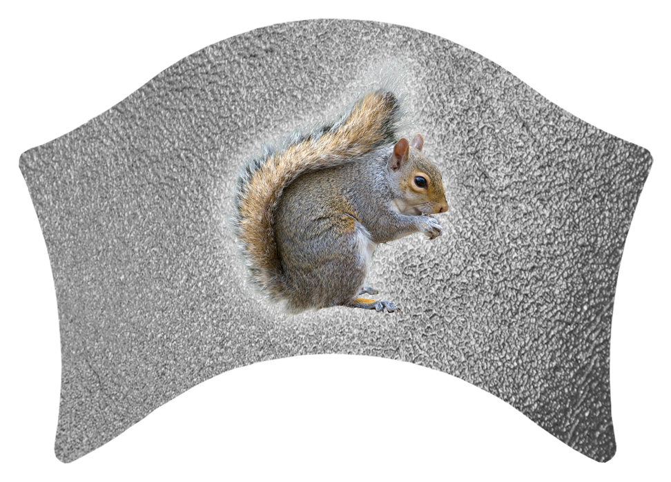 DABAN Squirrel on SL PROOF